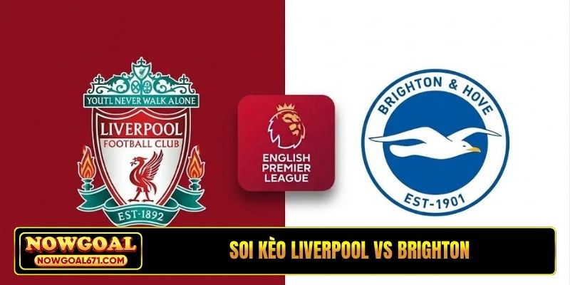 Soi Kèo Liverpool vs Brighton 21H00, 25/10, Ngoại hạng Anh
